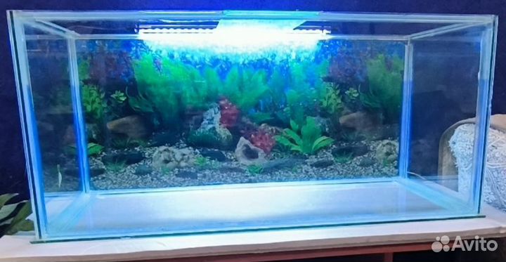 Аквариум
