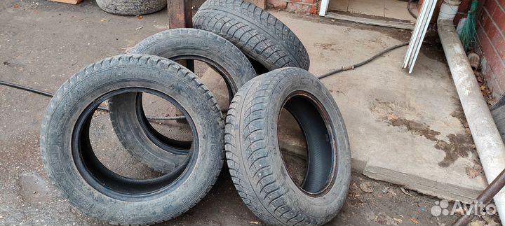 Gislaved Nord Frost 5 195/65 R15