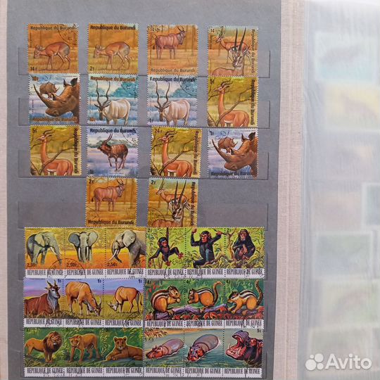 Почтовые марки и блоки фауна