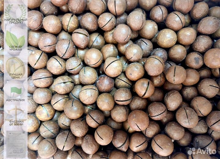 Макадамия в скорлупе (3А, 5А), очищенная