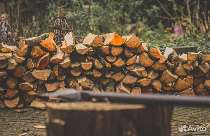 Дрова в Сертолово