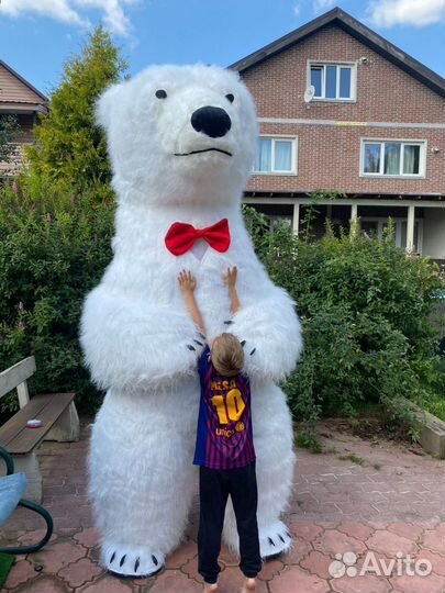 Ростовой медведь белый, чебурашка