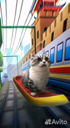 Делаю Аватарки на заказ