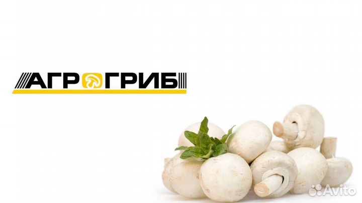 Рабочий санитарной бригады