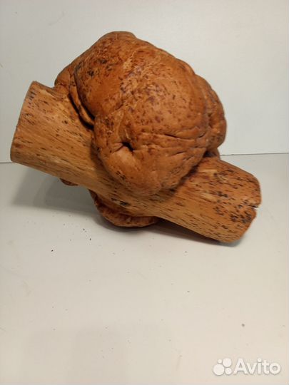 Кап березовый