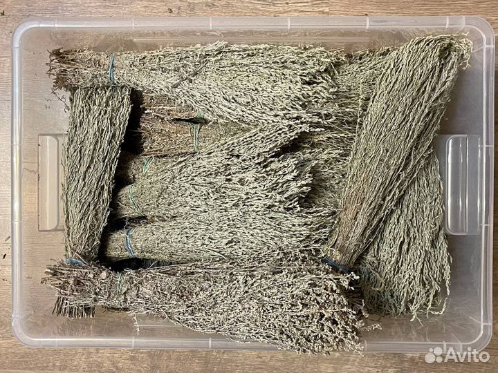 Полынь крымская таврическая серебристая пучки 2022