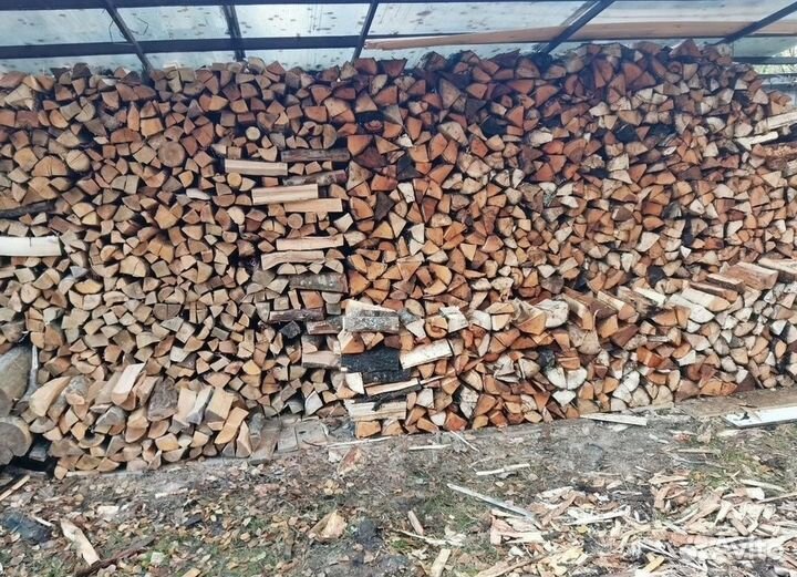 Дрова береза