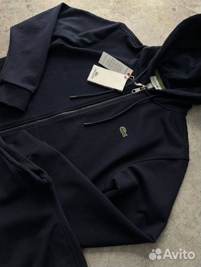 Спортивный костюм Lacoste синий premium мужской