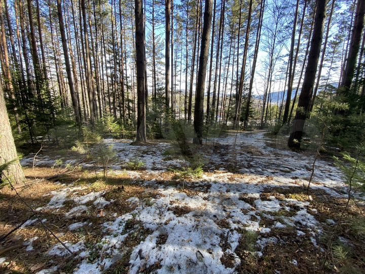 Участок 15 сот. (СНТ, ДНП)