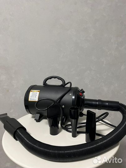 Фен компрессор для собак аренда