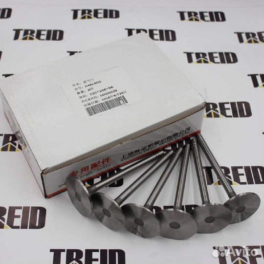 Комплект клапанов, впускной SC11D/C6121 C04AL602