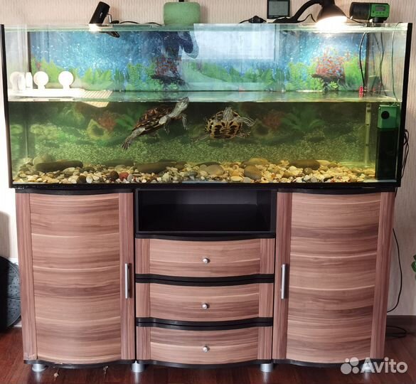 Аквариум с черепахами