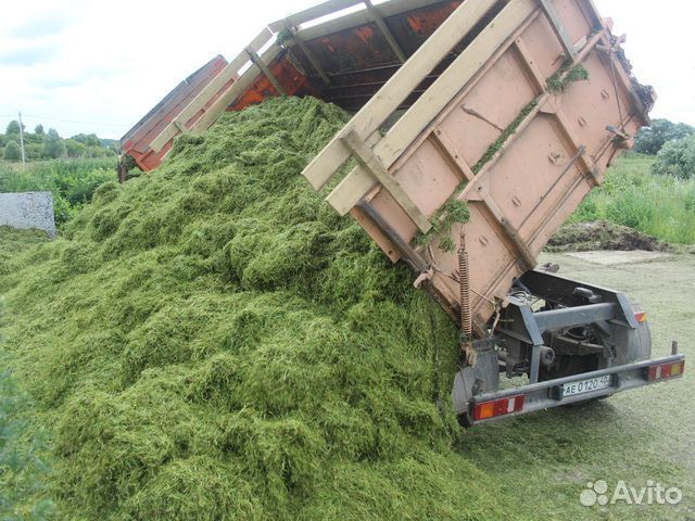 Продам сенаж-силос