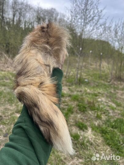 Лисий хвост натуральный