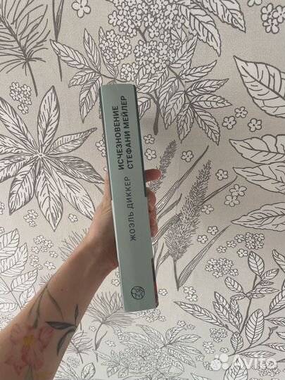 Исчезновение стефани мейлер