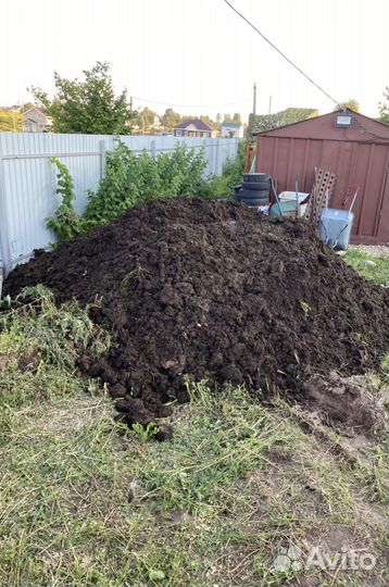 Навоз коровий