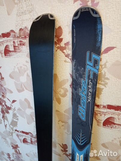 Горные лыжи