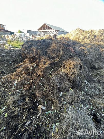 Навоз даром