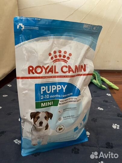 Корм для собак