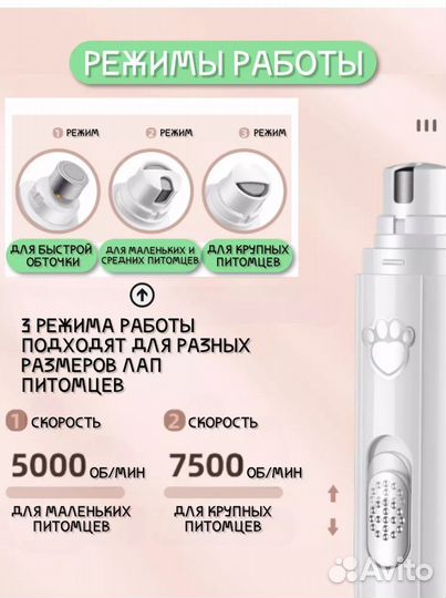 Когтеточка