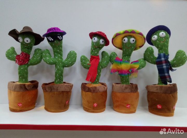 Танцующий кактус