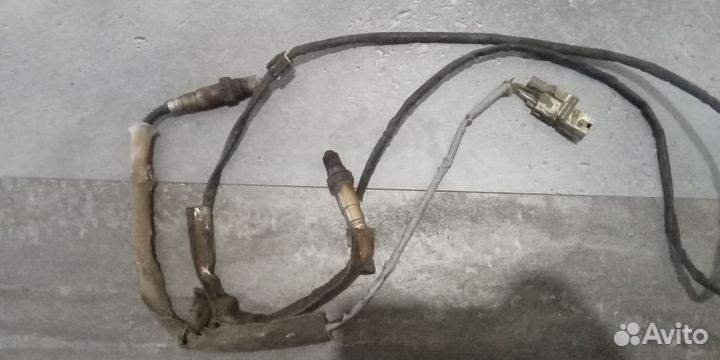 Лямбдазонд volvo s 80