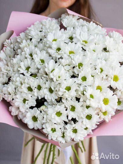 Хризантема букет на 1 сентября доставка цветы