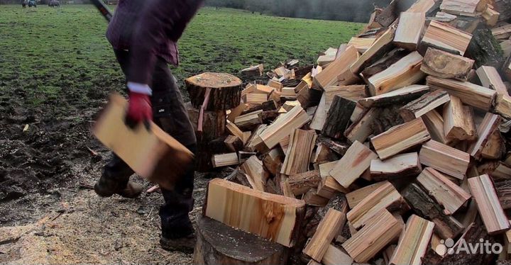 Дрова осина от производителя