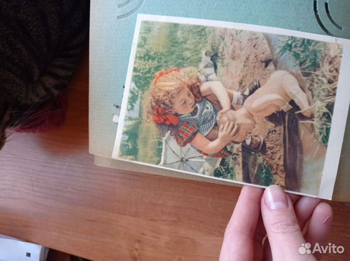Альбом с открытками 1950-1955 гг