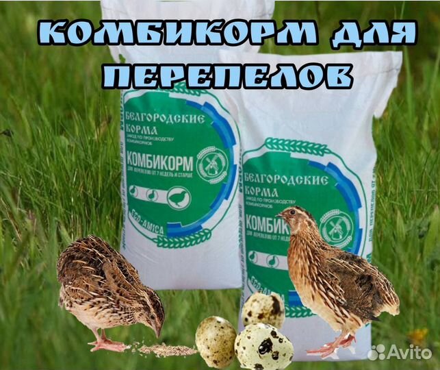 Белгородские комбикорма