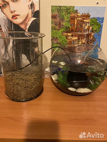 Аквариум с рыбками