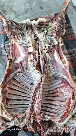 Мясо.Колбаса и Курдюк