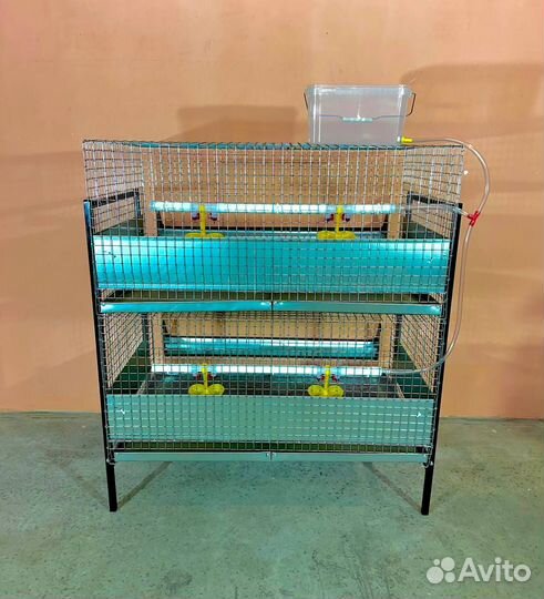 Клетки для кур бройлеров