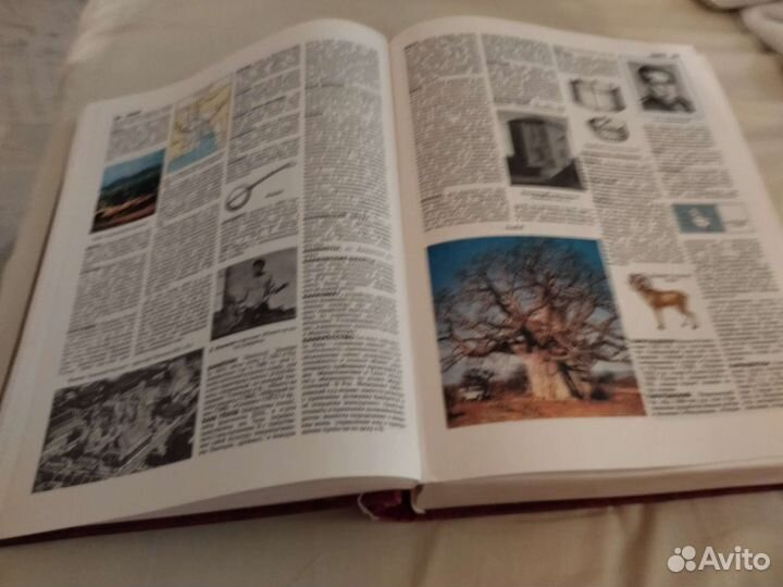 Иллюстрированный энциклопедический словарь