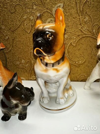 Собаки лфз СССР