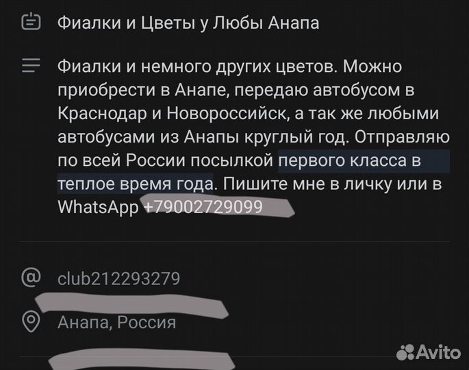 Детки фиалок новинки 200-300