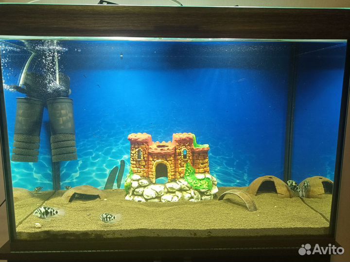 Аквариум с тумбой 120 литров