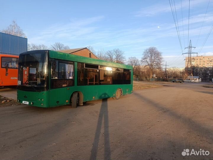 Городской автобус МАЗ 206, 2010