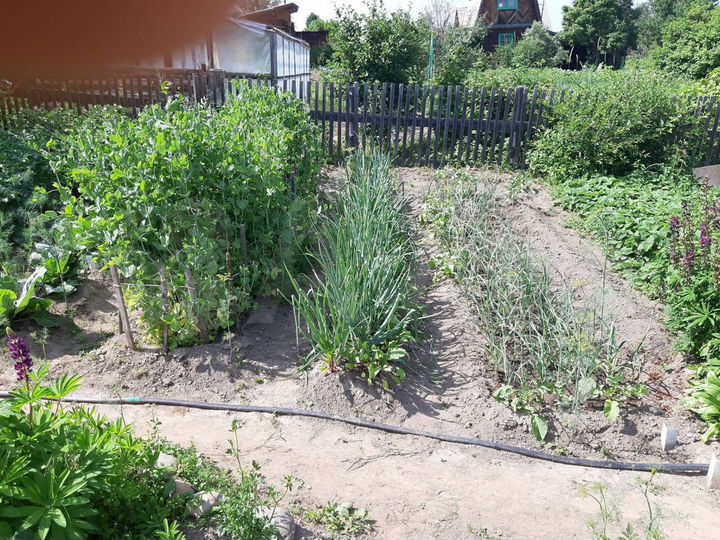 Дача 20 м² на участке 10 сот.