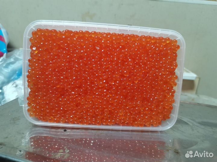 Красная икра кета 2024 хабаровский край