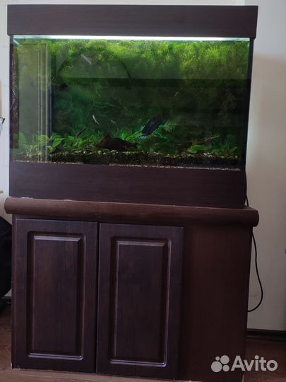 Аквариум с тумбой 500 литров