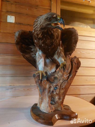 Орел имитация