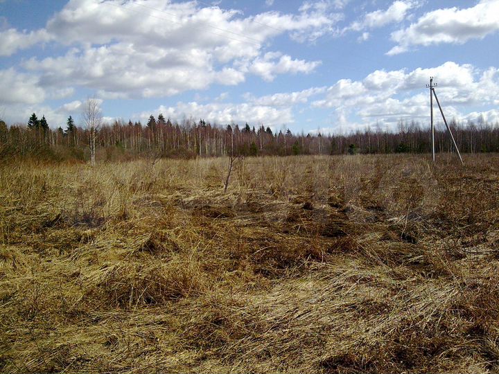 Участок 16 га (СНТ, ДНП)