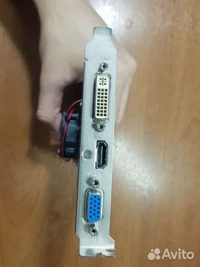 Asus gt 610 1gb