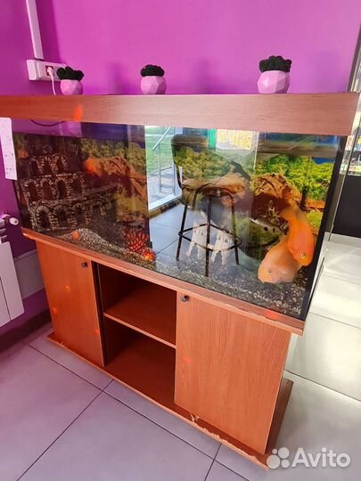 Аквариум с тумбой