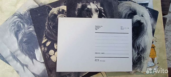 Открытки дореволюционные