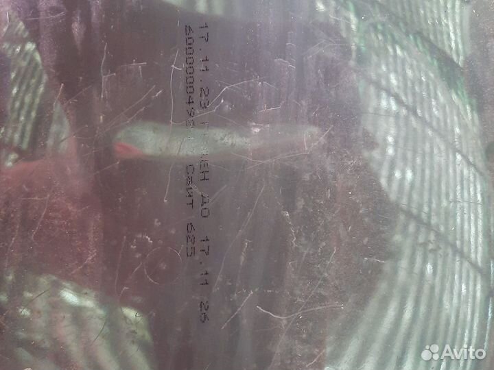 Краска тиккурила евро 7 белая