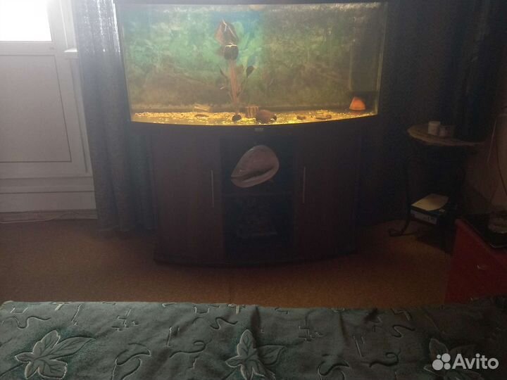 Аквариум ювель