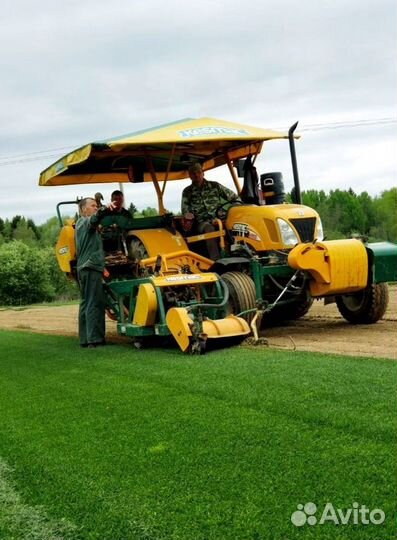 Рулонный газон 