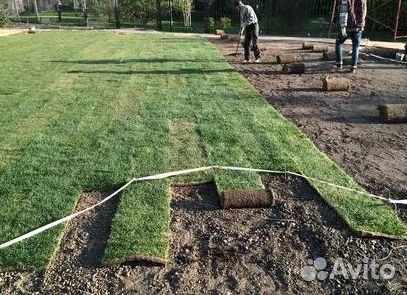 Рулонный газонУкладка Рулонного газонаГазон от про